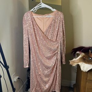 rose gold sequin Nanette Lepore fancy dress. I got it for a wedding